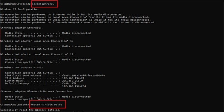 Renew DNS and perform netsh command