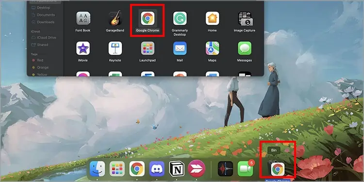 Why I Can't Update Google Chrome? How to Fix It 38 move-google-chrome-to-bin