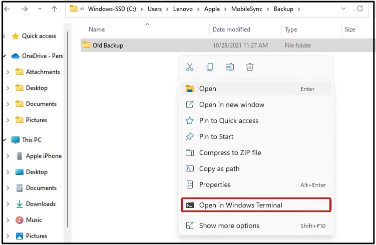 Open in Windows Terminal