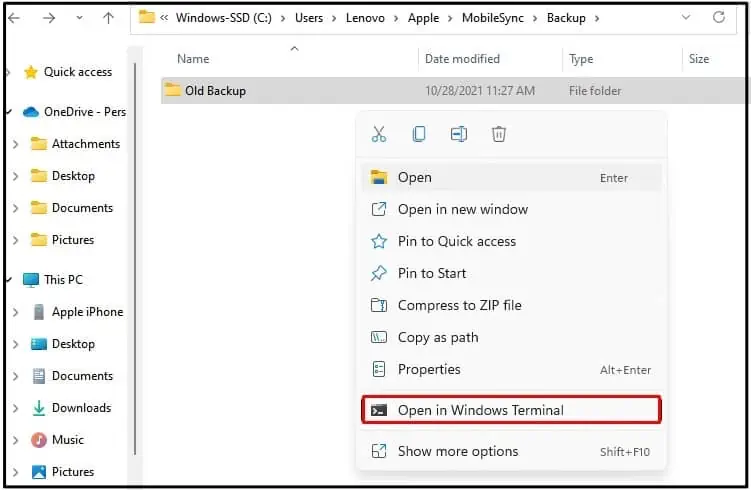 Open-in-Windows-Terminal
