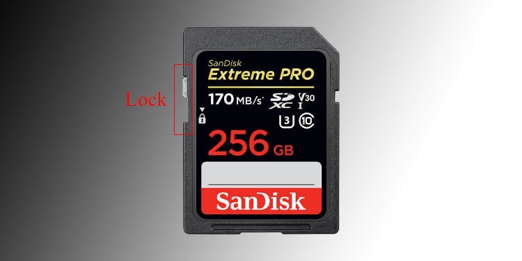 SD card lock