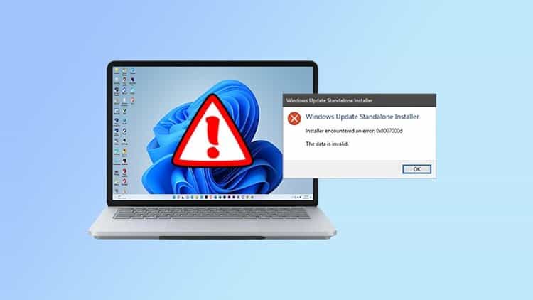 error-0x8007000d