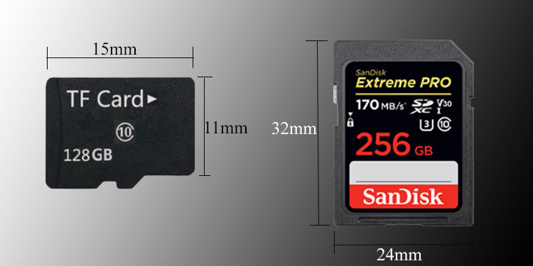 What Is A TF Card? Does It Differ To An SD Card 3 physical dimension