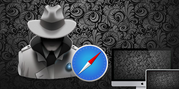 private mode safari