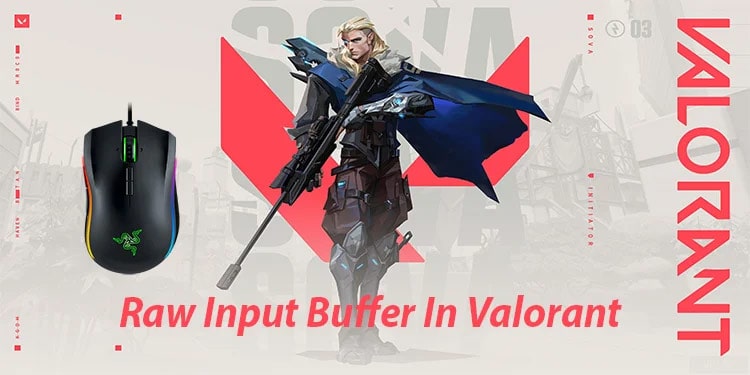 raw input buffer valorant