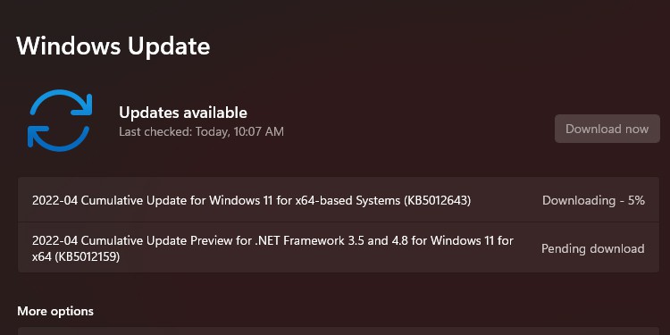 Checking for updates on Windows