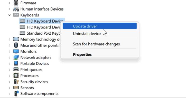 Keyboard driver update on Windows 11