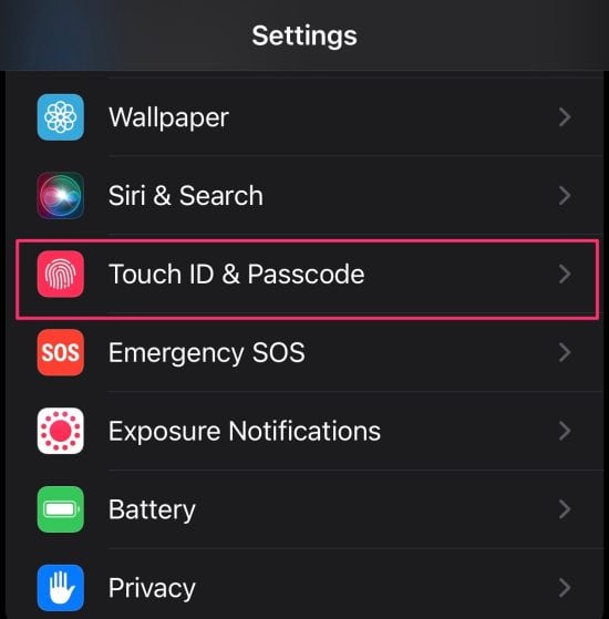 Touch ID or Face Id and Passcode option