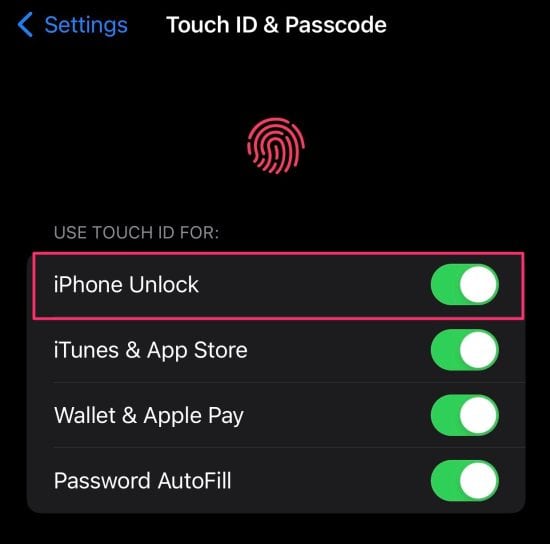 Use Touch:Face ID to Unlock iPhone