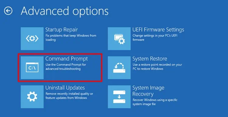 advanced-options-command-prompt