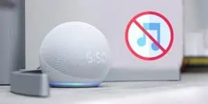 Alexa Won’t Play Music? How to Fix It