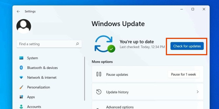 check for windows 11 updates 