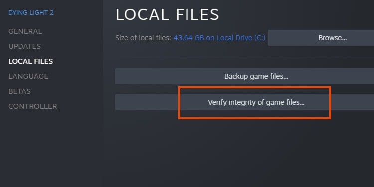 verify integrity of game files steam 