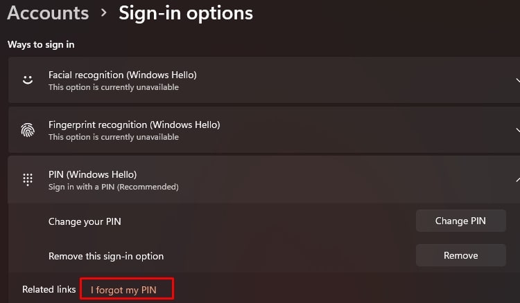 i forgot my pin option in sign in options