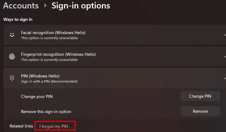 i-forgot-my-pin-option-in-sign-in-options