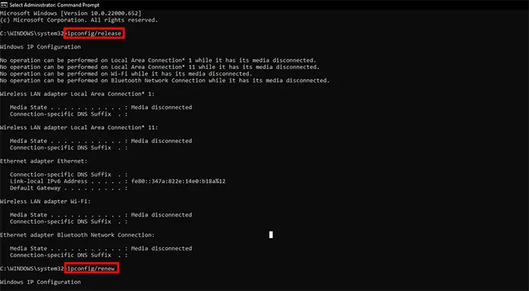 release-and-renew-dns