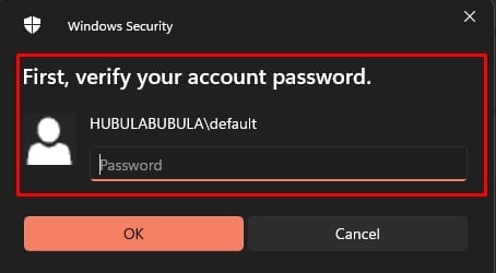 verify password for removing pin