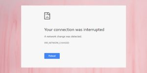 your connection was interrupted a network change was detected