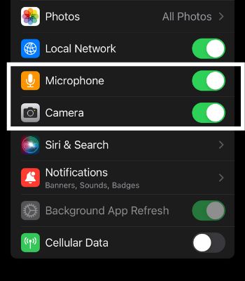 Allow the permission to access Microphone and Camera