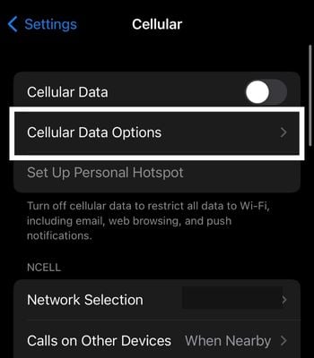 Click on Cellular data options