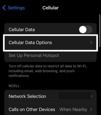 セルラーデータオプションをクリックします