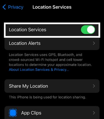 Click on Location Service and enable it
