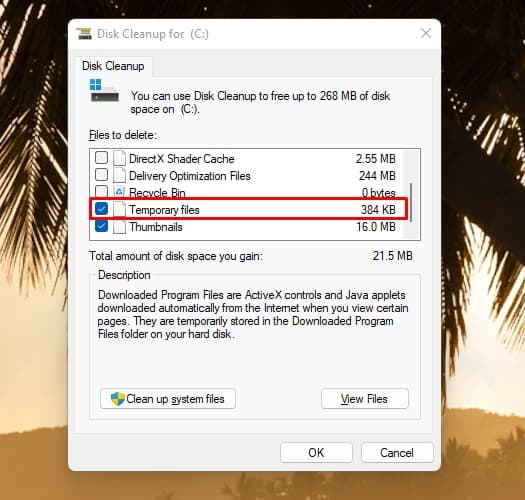 DiskCleanupTemporaryFiles