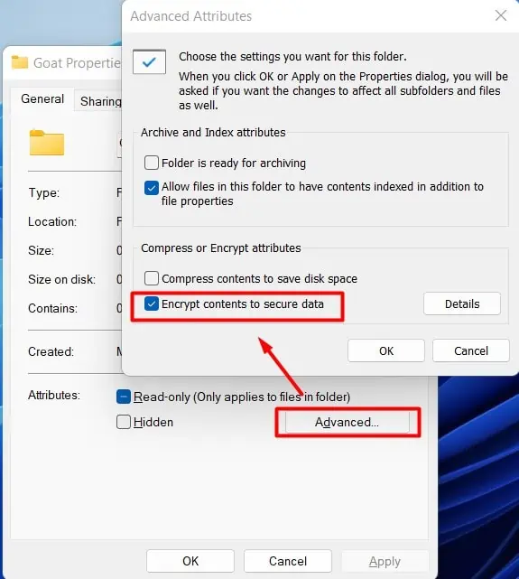 EncryptContentsToSecureDataWin11