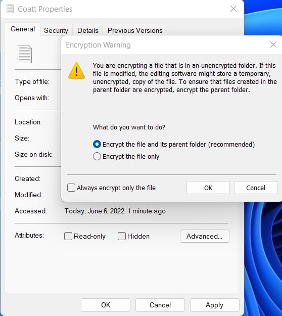FileEncryptionWarningWin11