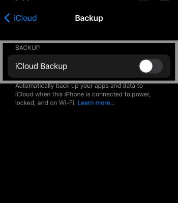 Scroll down and Tap on “Back up Now.”
