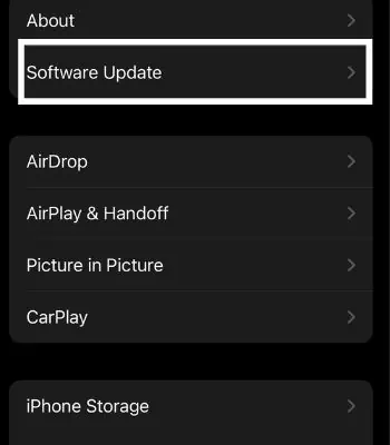 11 Ways to Fix iPhone Photos Not Loading 39 Tap-on-Software-Update-4