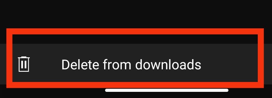Then, Tap Delete from Downloads