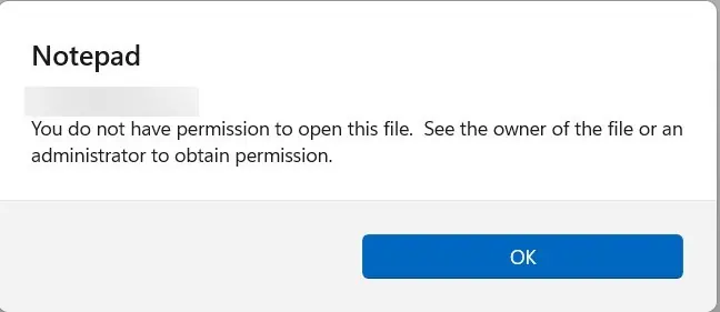 YouDoNotHavePermissionToOpenThisFile