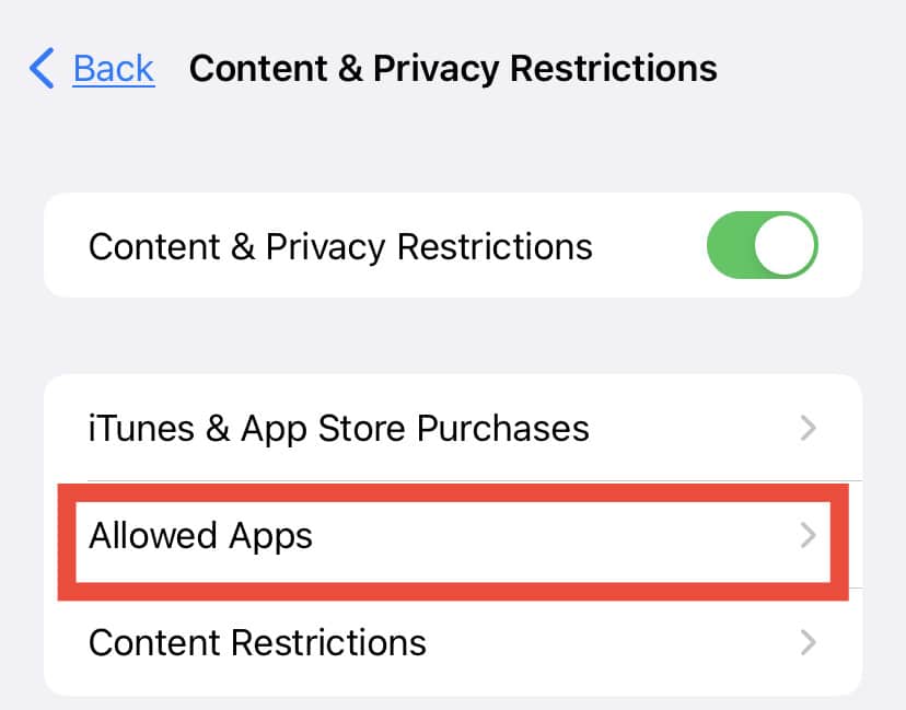 allowed apps
