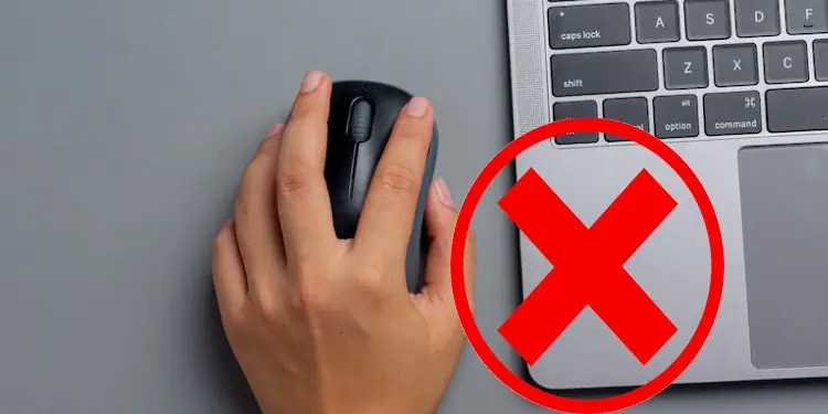 Computer Not Recognizing Mouse? 16 Quick Ways to Fix