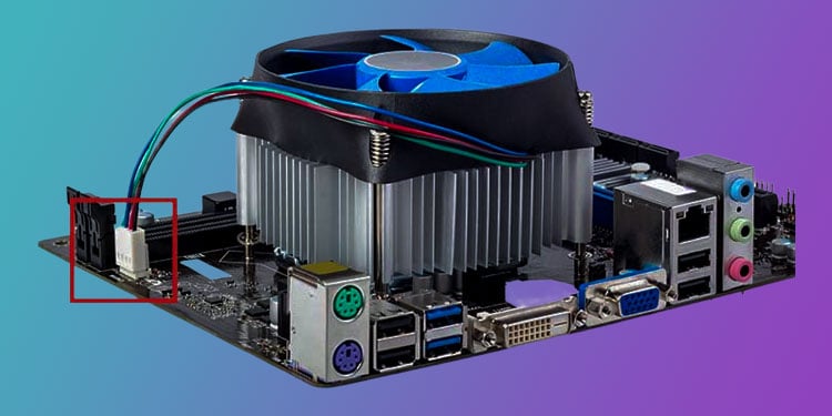 cpu fan header