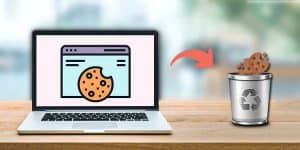 delete cookies for one site