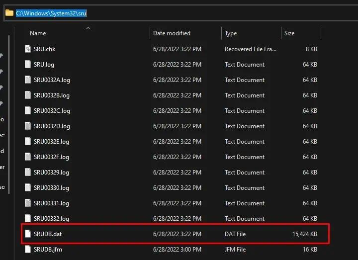 delete-srudb-file