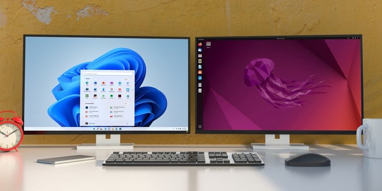 dual boot windows 11 and linux