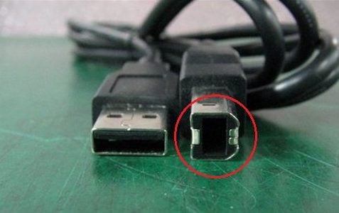 ankel overvældende facet How To Fix USB Ports Not Working On Dell Monitor