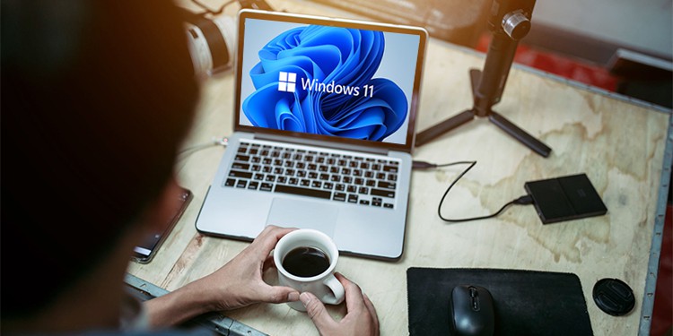 wp backup scheduler wp backup scheduler