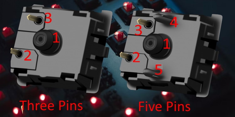 3 pin vs 5 pins