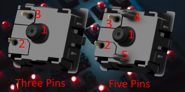 How to Know if Your Keyboard Is Hot Swappable 4 3 pin vs 5 pins