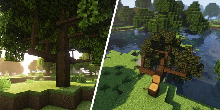 How to Make Minecraft Look Realistic? 6 Dynamic-trees