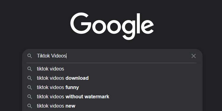 Google-Search-TikTok-Videos