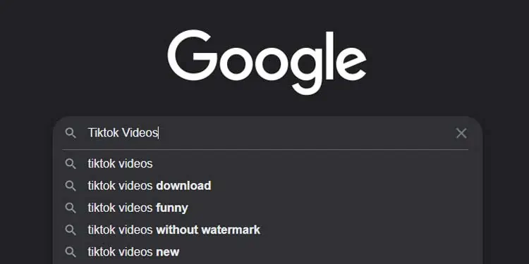 Google-Search-TikTok-Videos-1