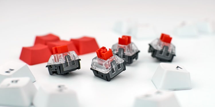 How to Know if Your Keyboard Is Hot Swappable 3 Hot Swappable Switches
