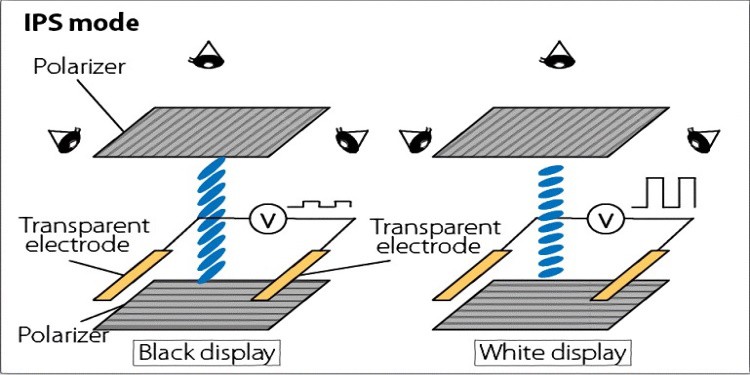 IPS Vs VA Panel - What’s the Difference? 2 IPS Panel AOC