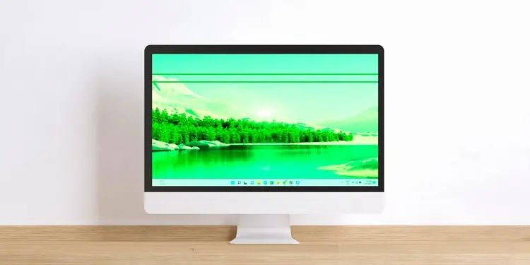 My Monitor Screen is Green – Why & How to Fix it
