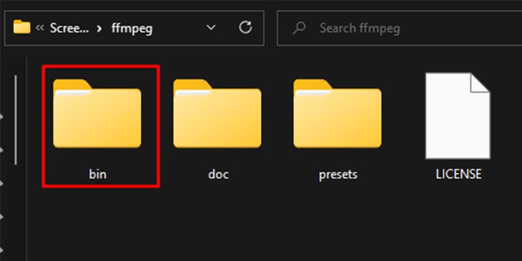 SelectBinFFmpeg